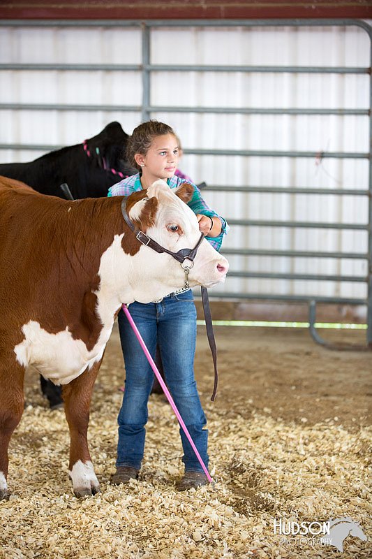 LCFAIR14-1473.jpg