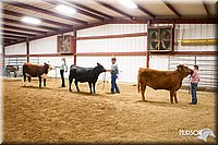 LCFAIR14-1387.jpg