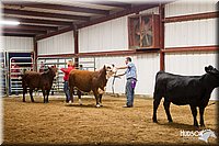 LCFAIR14-1400.jpg