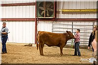 LCFAIR14-1409.jpg