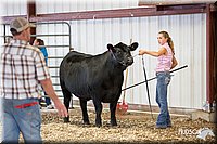 LCFAIR14-1429.jpg