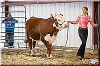 LCFAIR14-1434.jpg