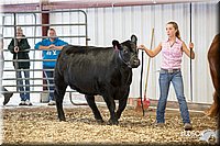 LCFAIR14-1435.jpg