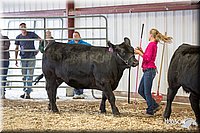LCFAIR14-1436.jpg