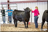 LCFAIR14-1437.jpg