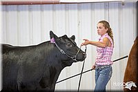 LCFAIR14-1438.jpg
