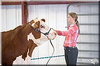 LCFAIR14-1440.jpg