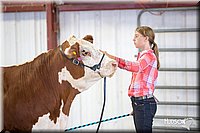 LCFAIR14-1441.jpg