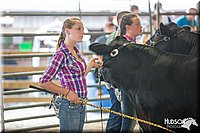 LCFAIR14-1443.jpg