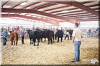 LCFAIR14-1445.jpg