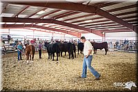 LCFAIR14-1446.jpg