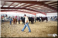 LCFAIR14-1447.jpg