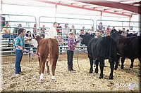 LCFAIR14-1448.jpg
