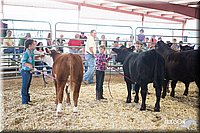 LCFAIR14-1449.jpg