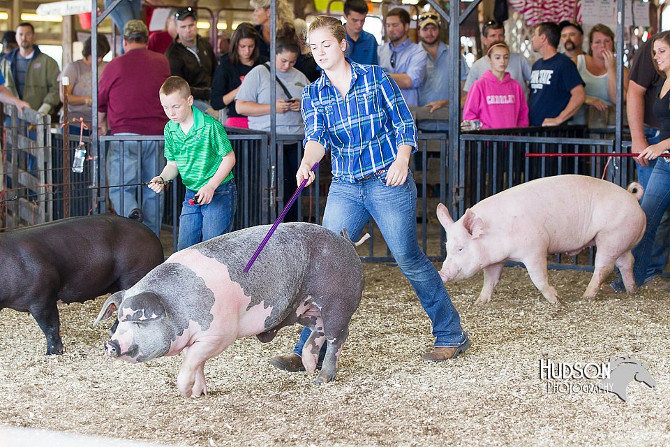 LCFAIR14-4402.jpg