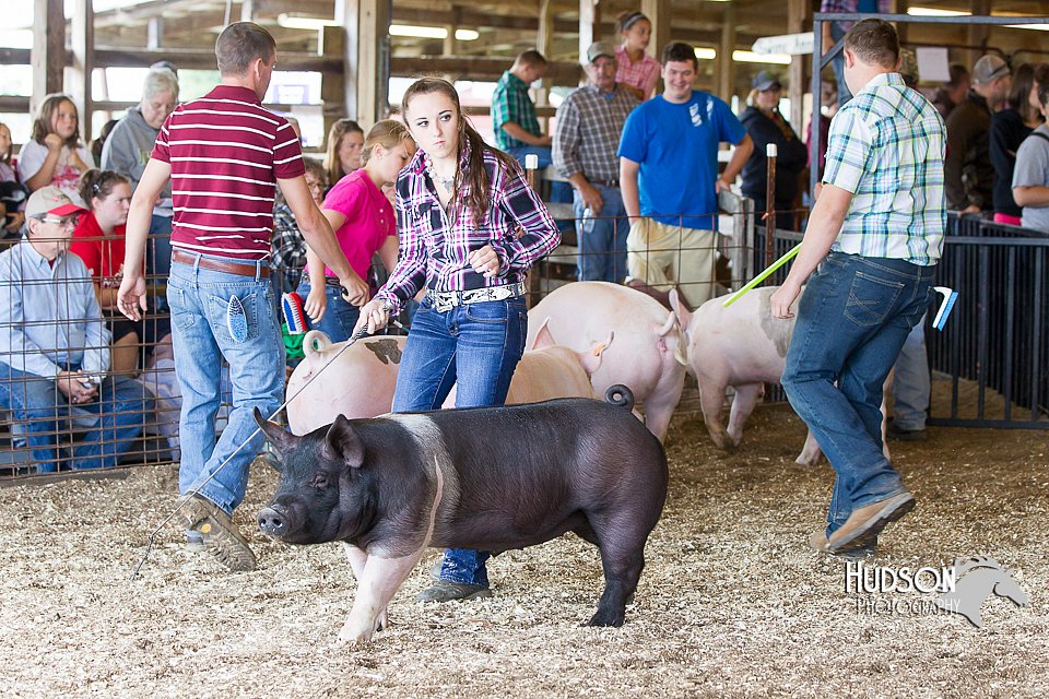LCFAIR14-4438.jpg
