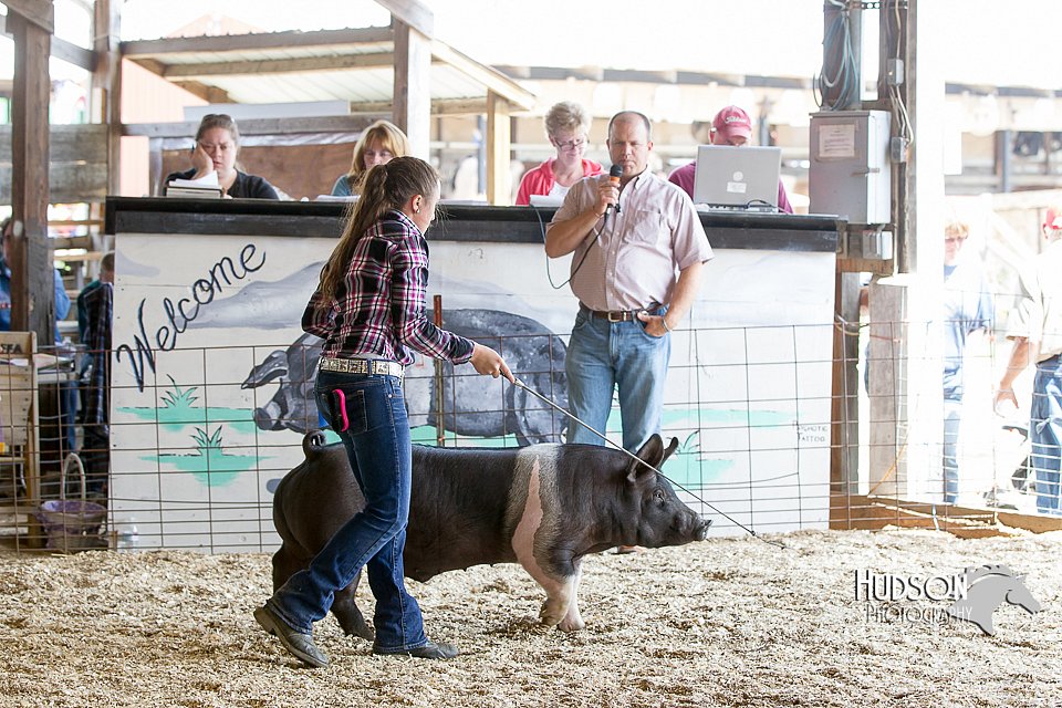LCFAIR14-4451.jpg