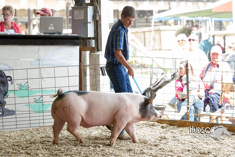 LCFAIR14-4474.jpg