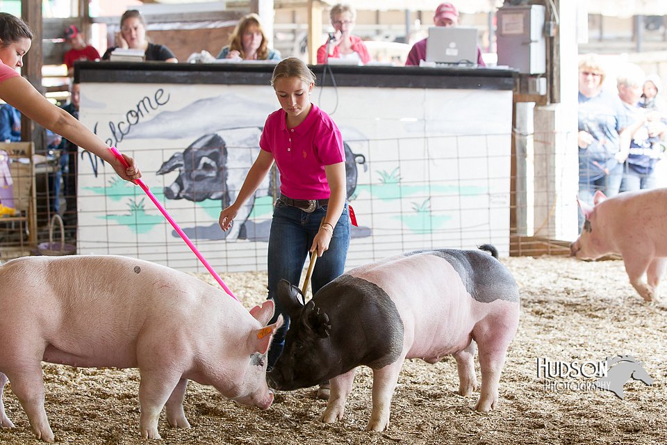 LCFAIR14-4492.jpg