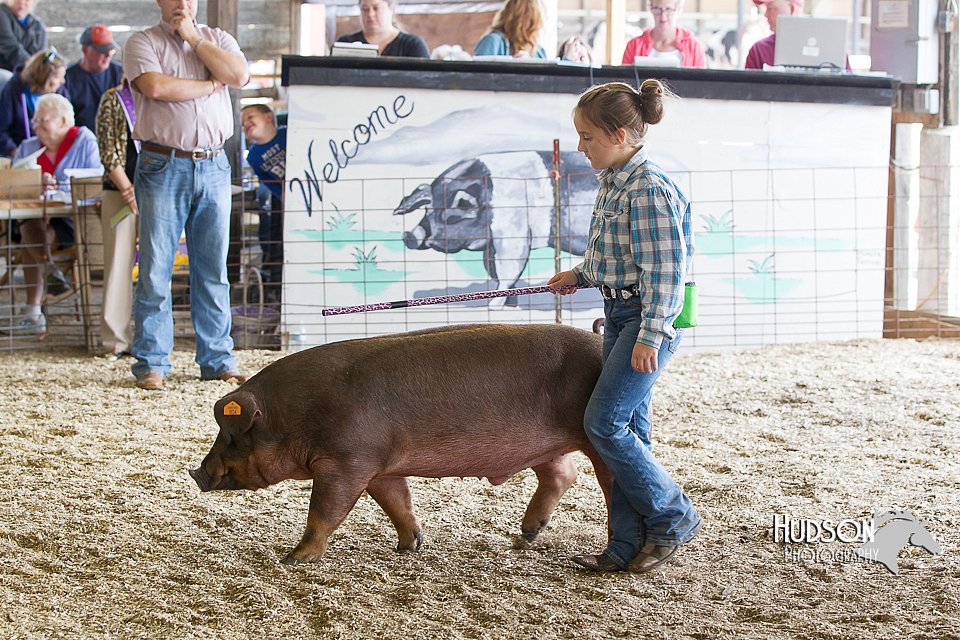 LCFAIR14-4500.jpg