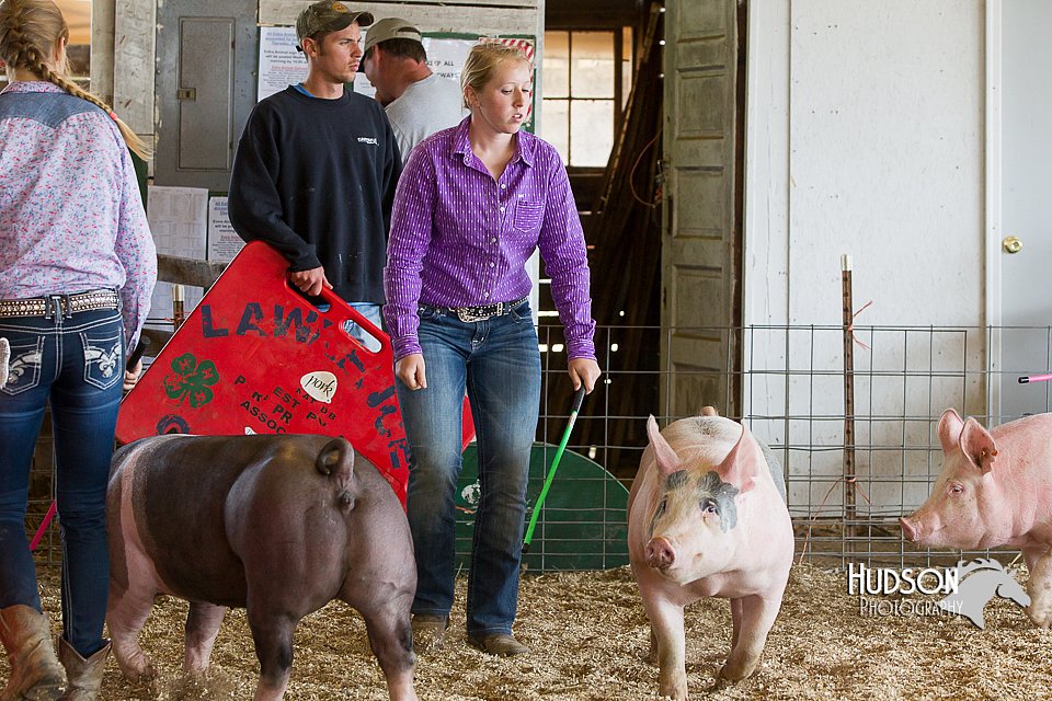 LCFAIR14-4514.jpg