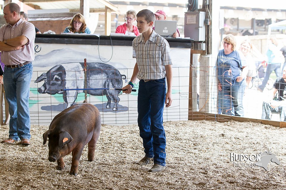 LCFAIR14-4528.jpg
