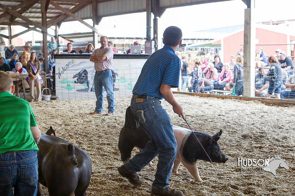 LCFAIR14-4539.jpg