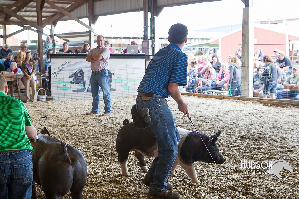 LCFAIR14-4540.jpg