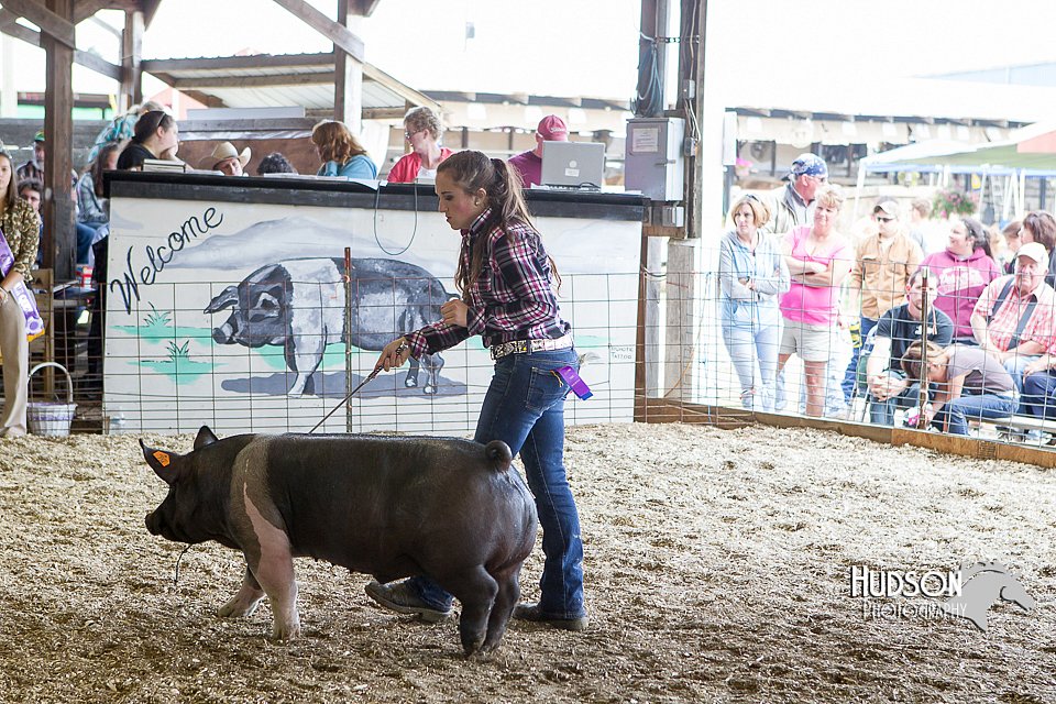 LCFAIR14-4542.jpg