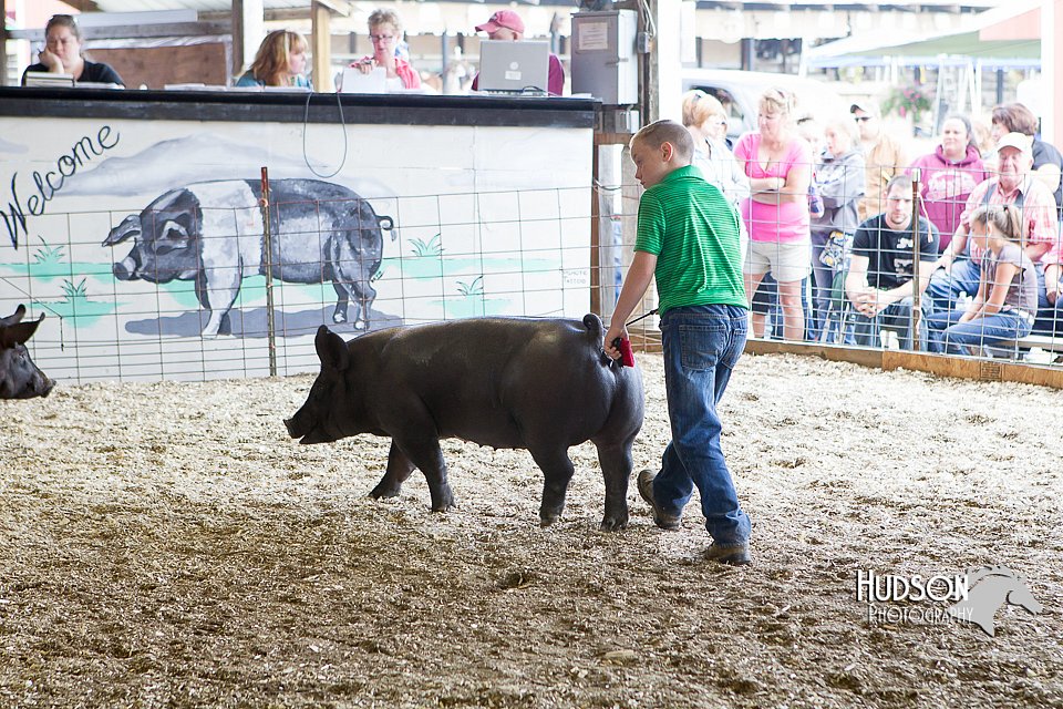 LCFAIR14-4545.jpg
