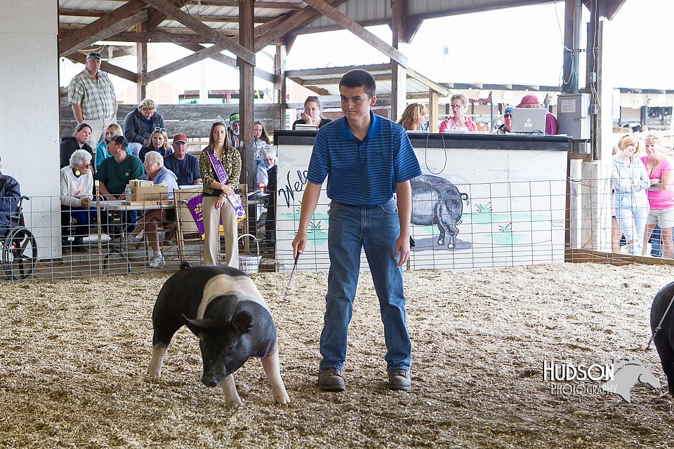 LCFAIR14-4549.jpg