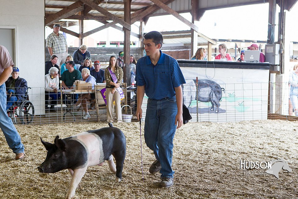 LCFAIR14-4550.jpg