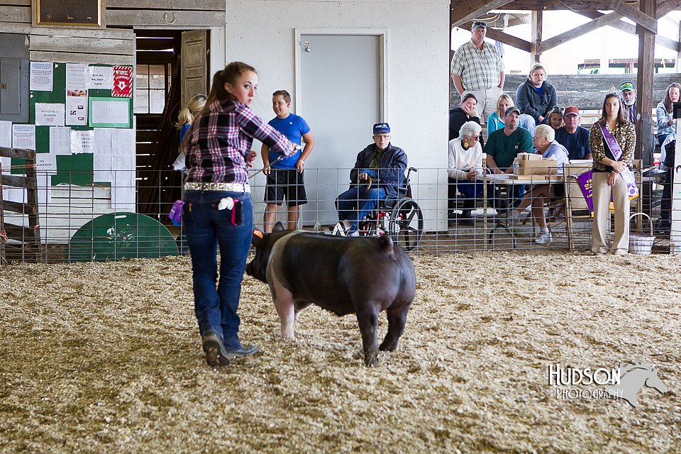 LCFAIR14-4557.jpg