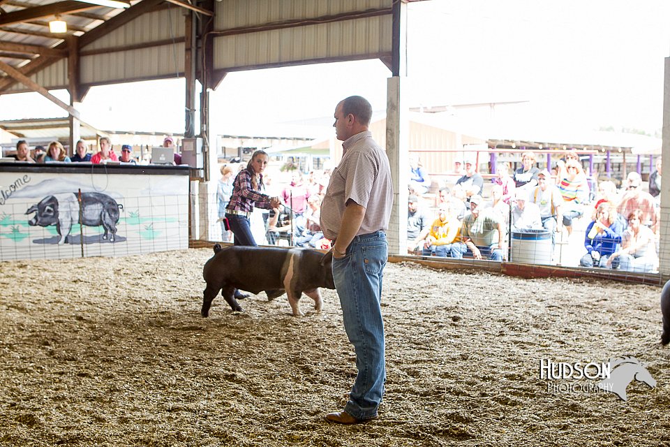 LCFAIR14-4561.jpg