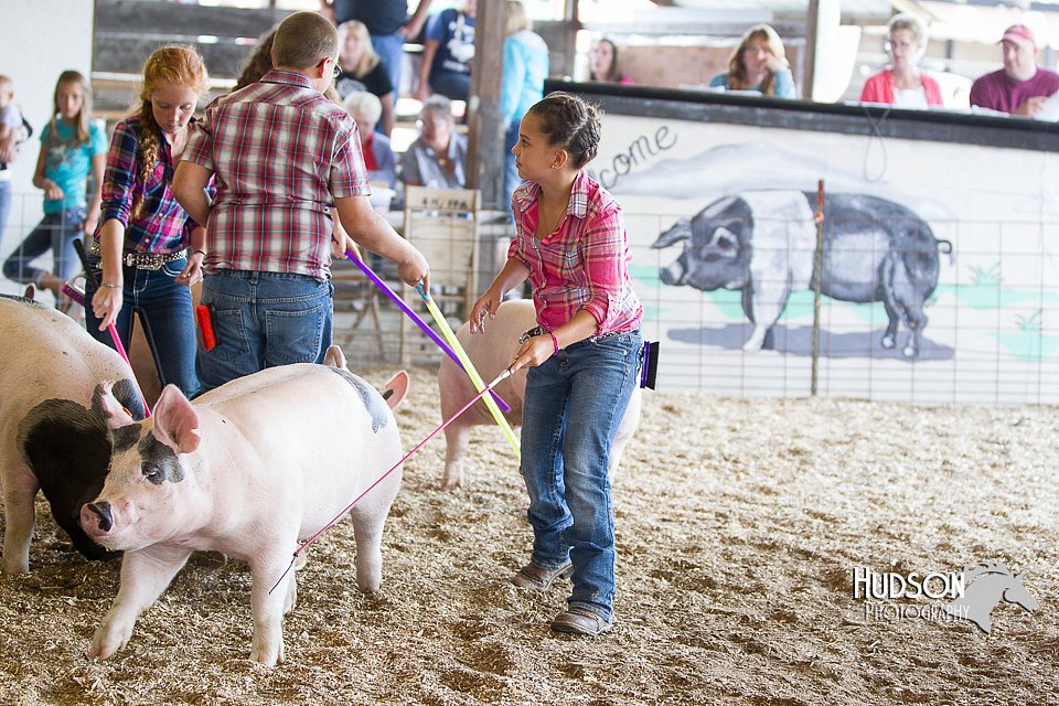 LCFAIR14-4929.jpg