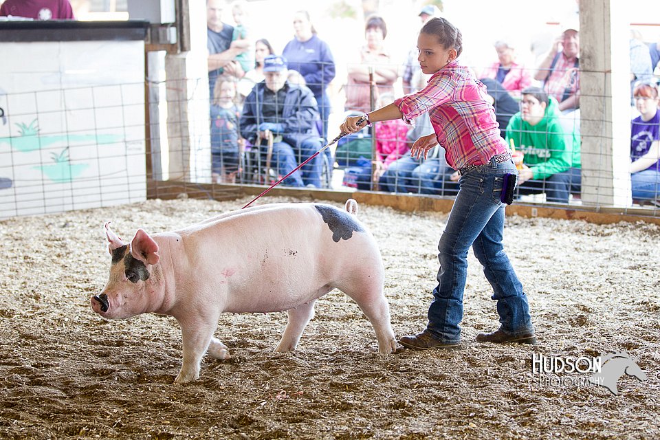LCFAIR14-4934.jpg