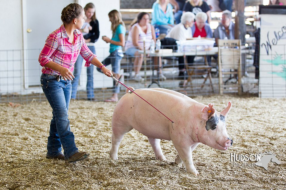 LCFAIR14-4937.jpg