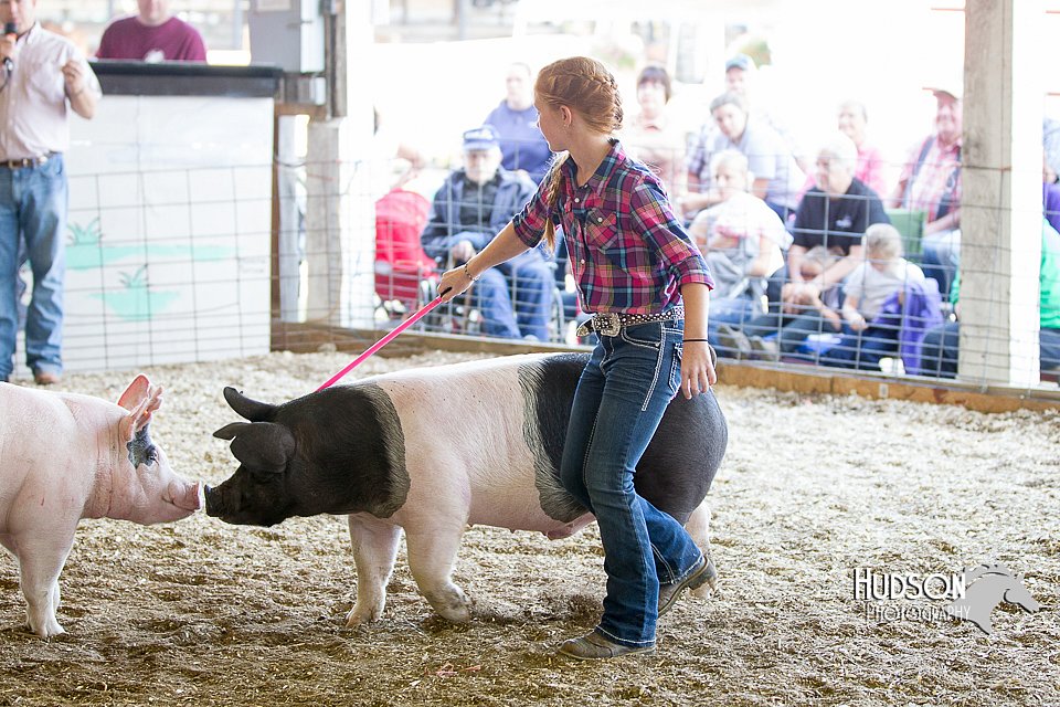 LCFAIR14-4938.jpg
