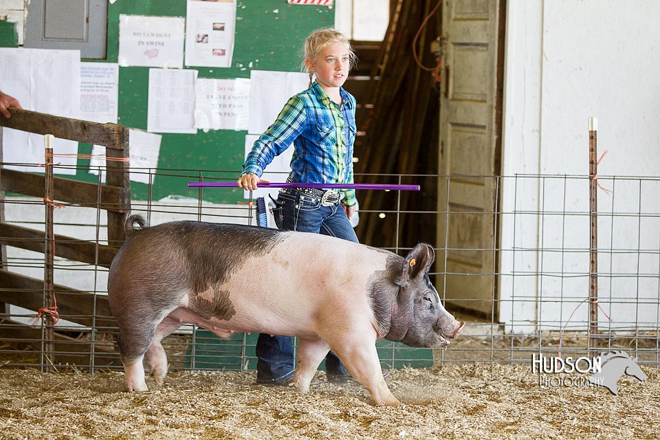 LCFAIR14-4954.jpg