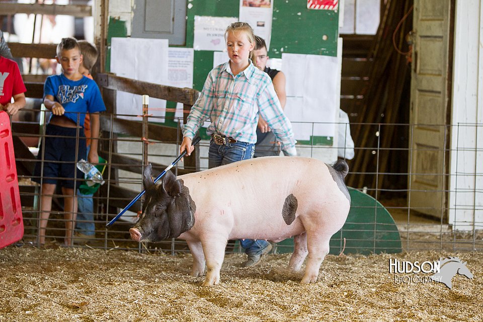 LCFAIR14-4972.jpg
