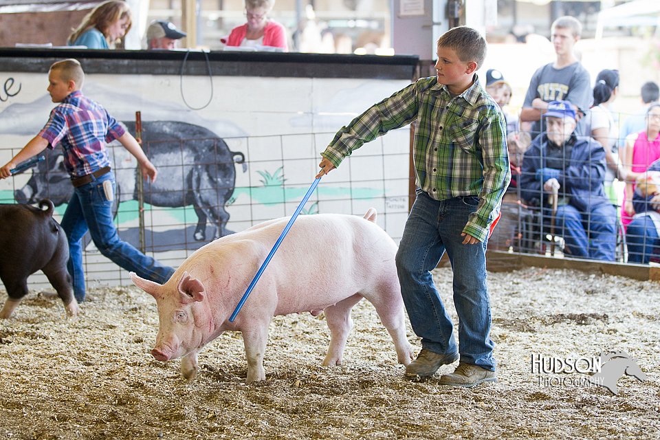 LCFAIR14-4982.jpg