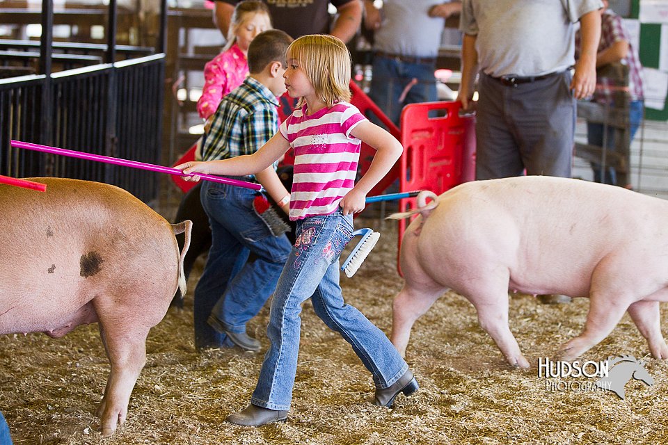 LCFAIR14-5003.jpg