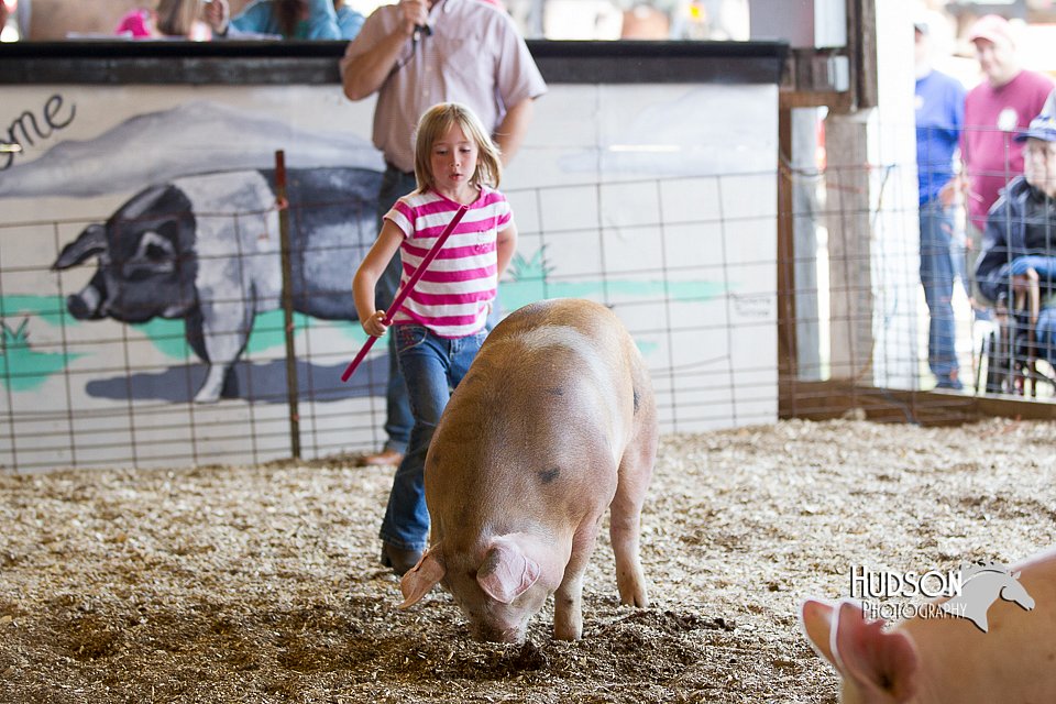 LCFAIR14-5028.jpg