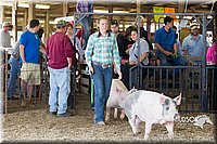 LCFAIR14-4393.jpg