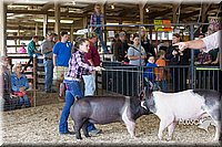 LCFAIR14-4431.jpg