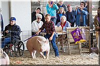 LCFAIR14-4467.jpg