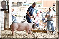 LCFAIR14-4475.jpg