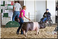 LCFAIR14-4498.jpg