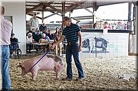 LCFAIR14-4544.jpg