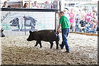 LCFAIR14-4545.jpg